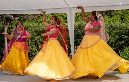 Krishna Janmashtami 2025 - dance